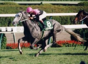 イクイノックス＝本格化した後のビワハヤヒデ