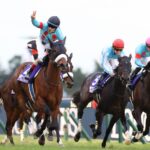 ジャパンカップの勝ち馬ってなんだかんだで種牡馬として優秀な剣