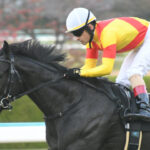 有馬記念はジャスティンから行っていい感じ?