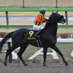 クラウンプライド川田しょうがwww
