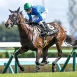 阪神ジュベナイルフィリーズ 絶対来ないキャットファイトの取捨選択を語る