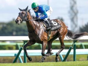 阪神ジュベナイルフィリーズ 絶対来ないキャットファイトの取捨選択を語る