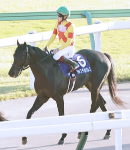 【有馬記念】ジャスティンパレスを軸にしたいが中山全敗なのが気になる