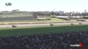 【中山大障害2023】結果・動画/マイネルグロンが１０馬身差の圧勝