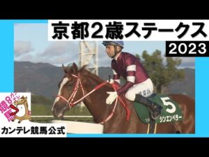 2023年 京都２歳ステークス(ＧⅢ) シンエンペラー　実況：川島壮雄【カンテレ公式】