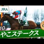 2010年 みやこステークス(GⅢ) | トランセンド | JRA公式