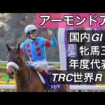 【最強牝馬】芝GI8勝‼️アーモンドアイ全レース直線一気見