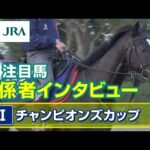 【注目馬 関係者インタビュー】2023年 チャンピオンズカップ|JRA公式