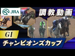 【調教動画】2023年 チャンピオンズカップ｜JRA公式