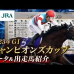 【データ&出走馬紹介】2023年 チャンピオンズカップ|JRA公式