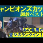 【前走圧勝のレモンポップは…】さらに「芝馬のような俊敏な動き」と注目する馬は!?競馬エイト・高橋賢司トラックマンの調教解説<チャンピオンズカップ(GⅠ)>