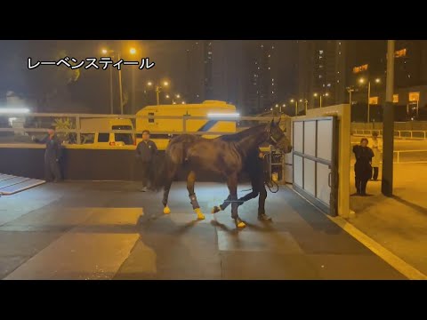 【2023香港国際競走】レーベンスティールなど日本馬3頭が香港に到着｜JRA公式