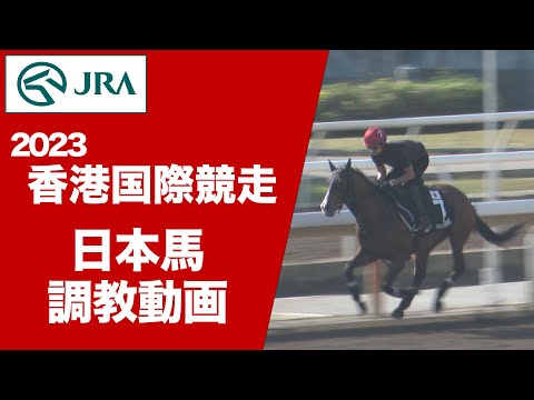 【2023香港国際競走】日本馬 調教動画（12月5日（火曜）） | JRA公式