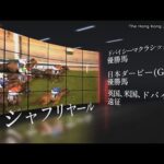 【2023香港国際競走】日本馬レーシングストーリー【現地プロモーション映像】 | JRA公式