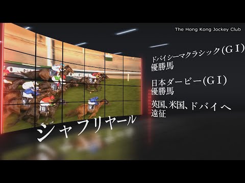 【2023香港国際競走】日本馬レーシングストーリー【現地プロモーション映像】 | JRA公式