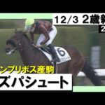 《2023年 新馬》亀田温心騎手「自信を持って、乗りました」モズパシュートが2馬身差の完勝! 12月3日(日)京都ダート1400m 実況:石田一洋【カンテレ公式】