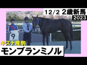 《2023年 新馬》松山騎手「これからもっと強くなると思います」モンブランミノルが激しい叩き合い制す!！　12月2日(土)京都ダート1800ｍ　実況：川島壮雄【カンテレ公式】