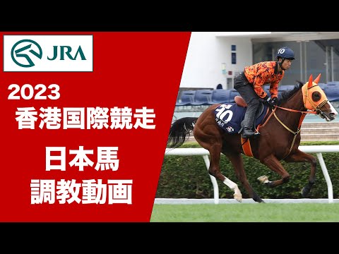 【2023香港国際競走】シャフリヤールなど日本馬8頭の調教動画（12月6日（水曜）） | JRA公式