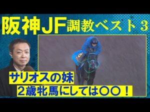 【２戦２勝のアスコリピチェーノ「初の右回りの方が適性ありそう！」】さらに連勝中のあの馬も・・・！競馬エイト・高橋賢司トラックマンの調教解説＜阪神ジュベナイルフィリーズ(ＧⅠ)＞