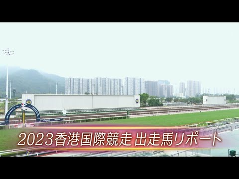 【重賞リポート】2023年 香港国際競走｜JRA公式