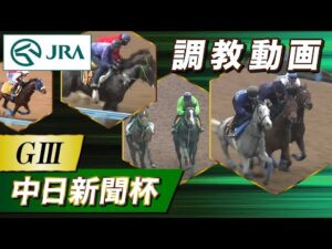 【調教動画】2023年 中日新聞杯｜JRA公式