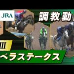【調教動画】2023年 カペラステークス|JRA公式