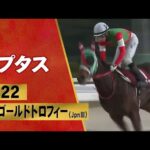 【兵庫ゴールドトロフィー2022 プレイバック】ラプタス×幸英明騎手が前年2着のリベンジ果たす!
