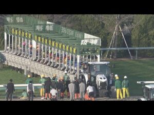 2023 HANSHIN JUVENILE FILLIES (G1) | JRA Official