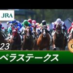 2023年 カペラステークス(GⅢ) | 第16回 | JRA公式