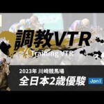 調教VTR|2023年 全日本2歳優駿 JpnI|NAR公式