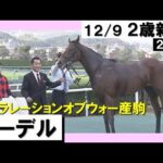 《2023年 新馬》岩田康誠騎手「走る素質を持っている」エーデルが上がり最速で差し切り勝ち! 12月9日(土)阪神ダート1800m 実況:川島壮雄【カンテレ公式】