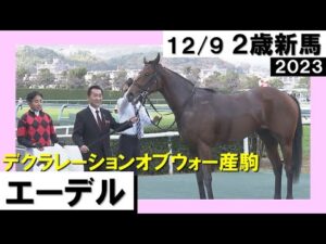 《2023年 新馬》岩田康誠騎手「走る素質を持っている」エーデルが上がり最速で差し切り勝ち！　12月9日(土)阪神ダート1800ｍ　実況：川島壮雄【カンテレ公式】