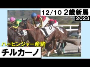 《2023年 新馬》ムルザバエフ騎手「才能に驚いている」実戦で一変！良血馬チルカーノが差し切り勝ち　12月10日(日)阪神芝1600ｍ　実況：石田一洋【カンテレ公式】