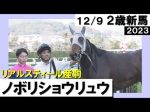 《2023年 新馬》角田大河騎手「上でも頑張ってほしい」ノボリショウリュウが押し切りデビュー勝ち！　12月9日(土)阪神芝1400ｍ　実況：石田一洋【カンテレ公式】