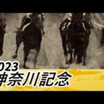 2023年 神奈川記念|NAR公式