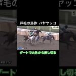 芦毛の馬体 ハヤヤッコが鮮やかに大外から差し切る