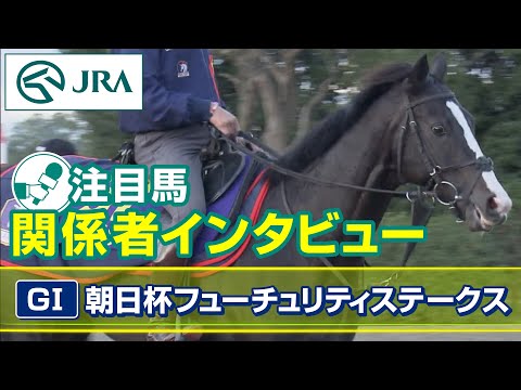 【注目馬 関係者インタビュー】2023年 朝日杯フューチュリティステークス｜JRA公式