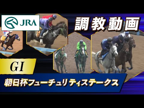 【調教動画】2023年 朝日杯フューチュリティステークス｜JRA公式