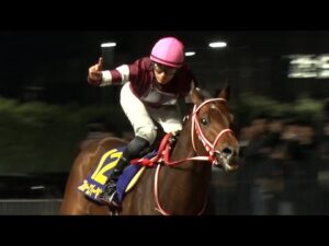 アタック！地方競馬｜第246回｜激戦！ 全日本２歳優駿｜NAR公式