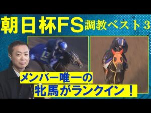 【「完成度が高く欠点が見当たらない」シュトラウスか？ジャンタルマンタルか？第1位は・・・】競馬エイト・高橋賢司トラックマンの調教解説＜朝日杯フューチュリティステークス(ＧⅠ)＞