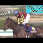 グランアレグリア【全レース】まとめ