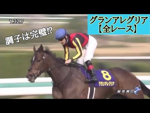 グランアレグリア【全レース】まとめ