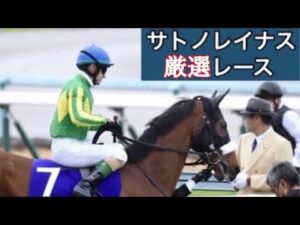 【サトノレイナス】ディープのような末脚炸裂！