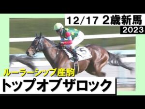 《2023年 新馬》ミスニューヨークの半弟トップオブザロックが勝利！デムーロ騎手「間違いなくいい馬」　12月17日(日)阪神芝1800ｍ　実況：川島壮雄【カンテレ公式】
