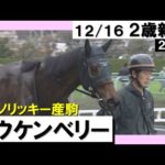 《2023年 新馬》坂井騎手「これから良くなってくる」6番人気オウケンベリーが直線で抜け出しデビュー勝ち! 12月16日(土)阪神ダート1800m 実況:川島壮雄【カンテレ公式】