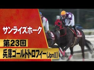 M.デムーロ騎手騎乗のサンライズホークが重賞連勝！【第２３回兵庫ゴールドトロフィー（JpnⅢ）】