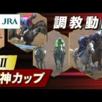 【調教動画】2023年 阪神カップ|JRA公式
