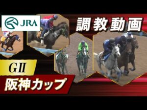 【調教動画】2023年 阪神カップ｜JRA公式