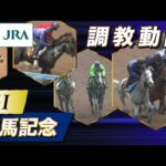 【調教動画】2023年 有馬記念|JRA公式