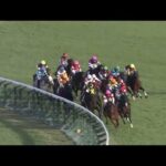 2023年　阪神カップ